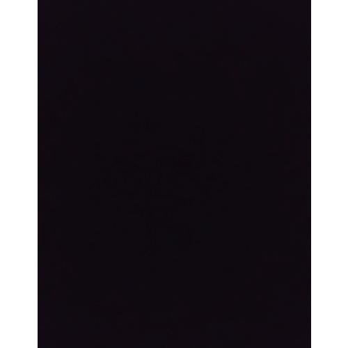 송치호