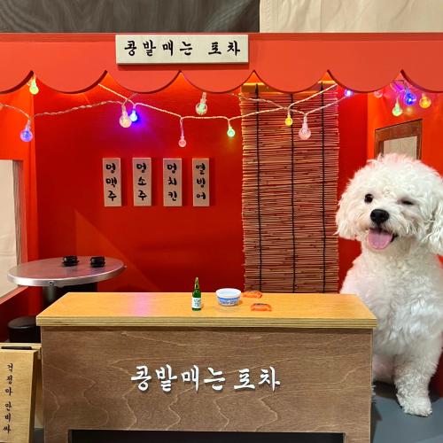 선수사진